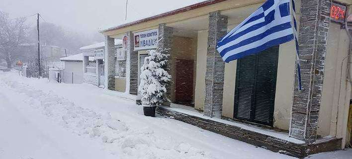 Άσπρισαν όλα: Στη Θέρμη το χιόνι ξεπέρασε το ένα μέτρο (εικόνες)